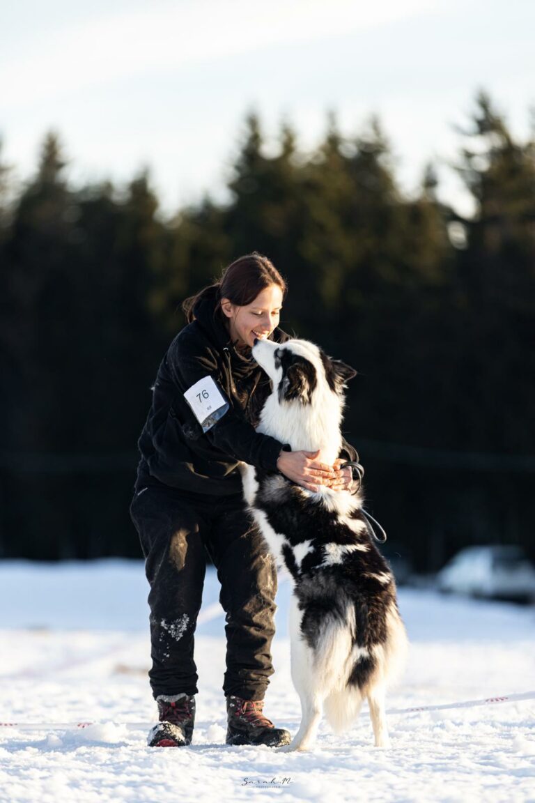 Pension canine familiale sans box à Monthieux, balades quotidiennes et visites à domicile pour chiens près de Trévoux, Villefranche et nord de Lyon.
