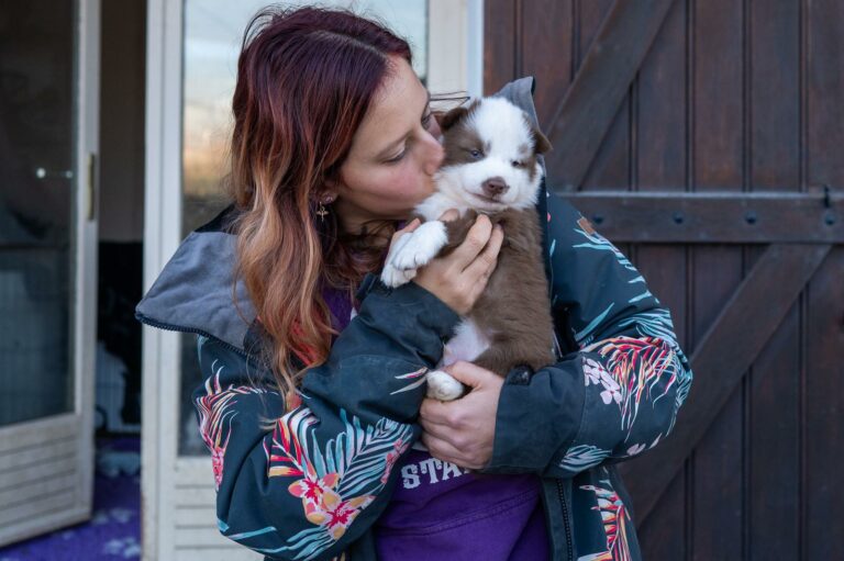Pension canine familiale sans box à Monthieux, balades quotidiennes et visites à domicile pour chiens près de Trévoux, Villefranche et nord de Lyon.