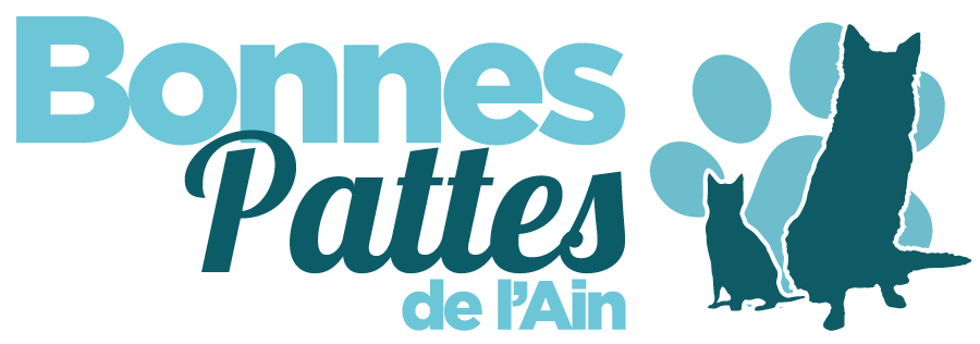 Bonnes pattes de l’Ain - pension et visites pour animaux à Monthieux